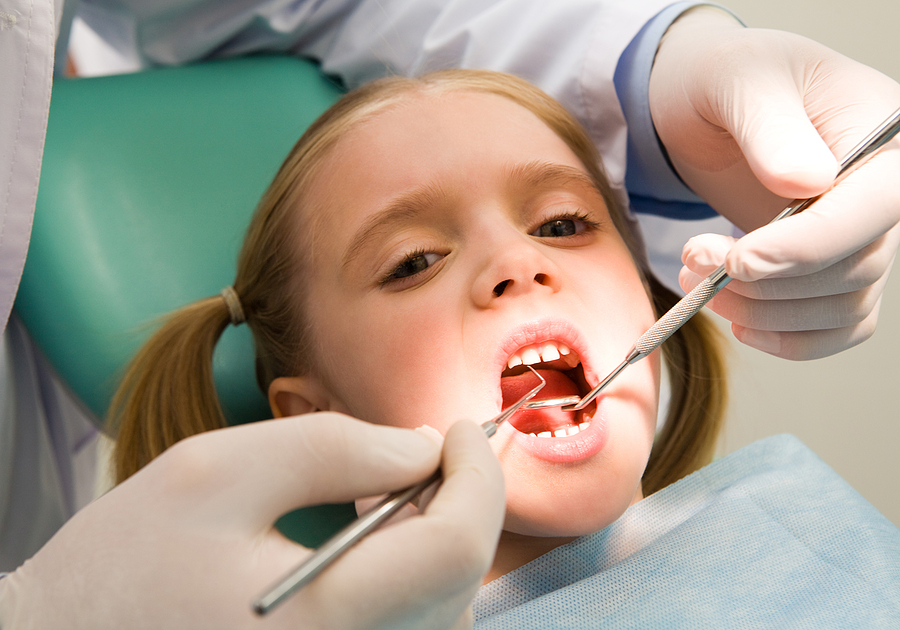 What Is a Dental Prophylaxis? Everything You Need to Know